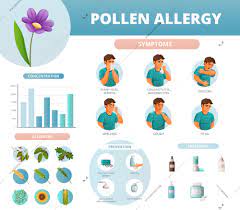 Cómo tratar la alergia al polen