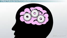 El conductismo en psicología: características y ejemplos