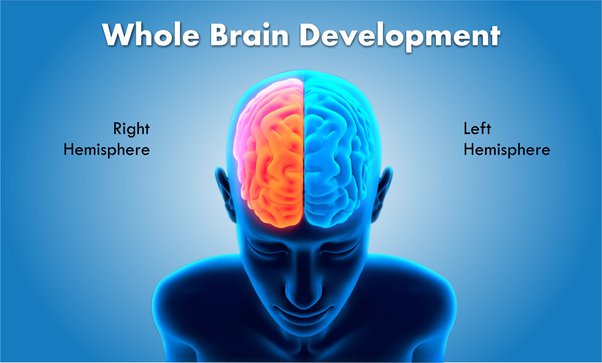 De qué es responsable el hemisferio izquierdo