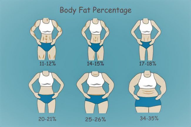 Qué tiene de malo tener la grasa corporal alta o baja