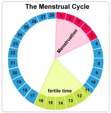 Infecciones de transmisión sexual (ITS)