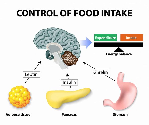 Haz la prueba: ¿Sabes qué alimentos contienen el azúcar más insidioso?