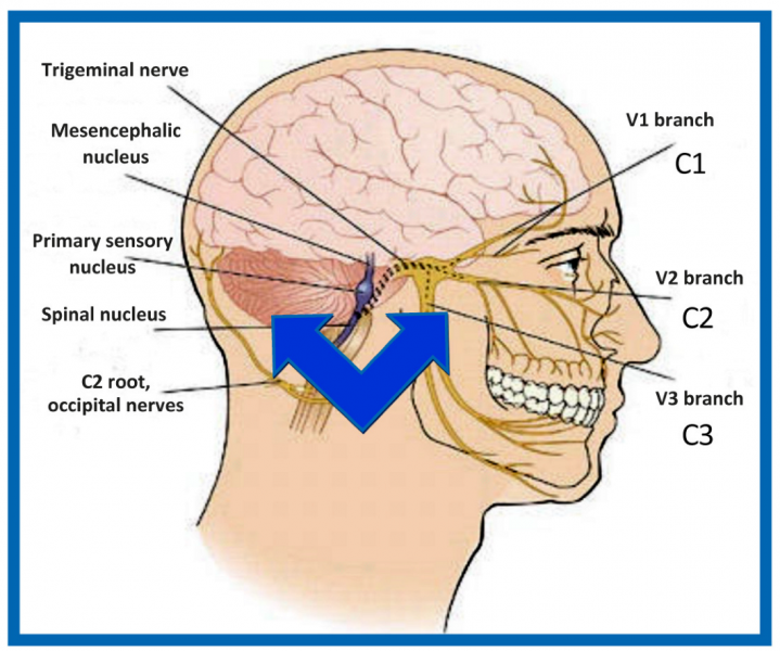 Osteocondrosis cervical: síntomas y causas de aparición