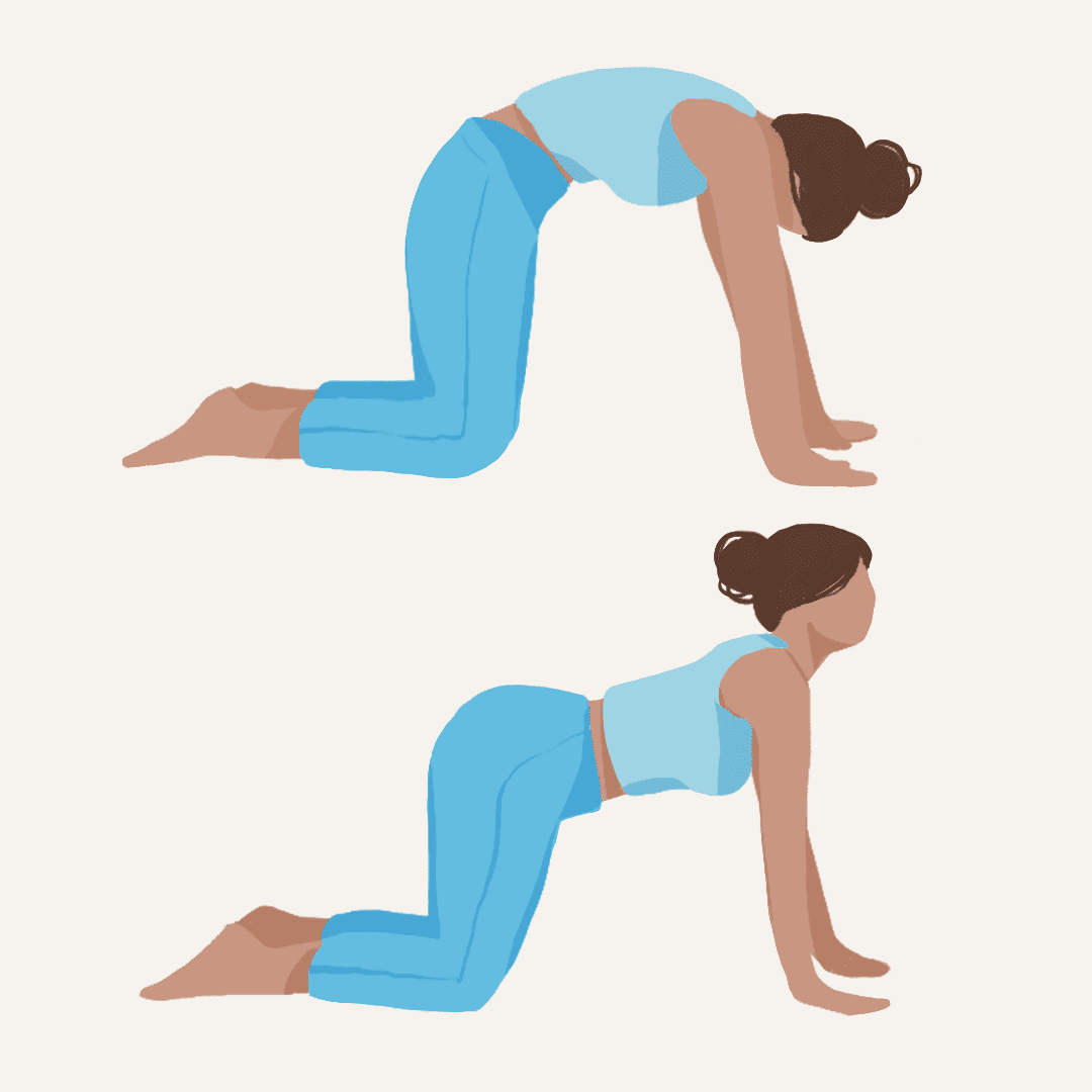 Estirar la espalda y la columna vertebral: 7 ejercicios que fortalecerán tu estructura y aliviarán el dolor