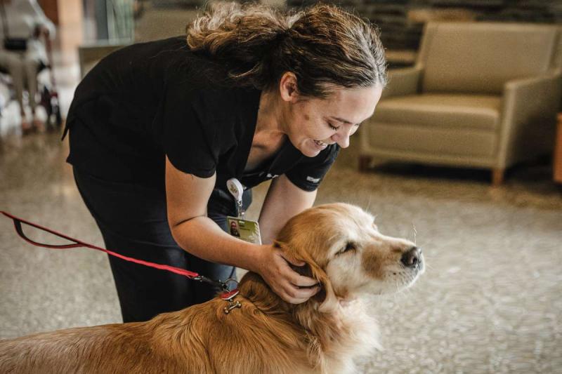 Cómo me hice voluntaria para perros Experiencia personal