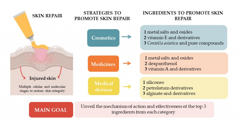 Desde las profundidades del mar: ¿qué ingredientes cosméticos necesitas?