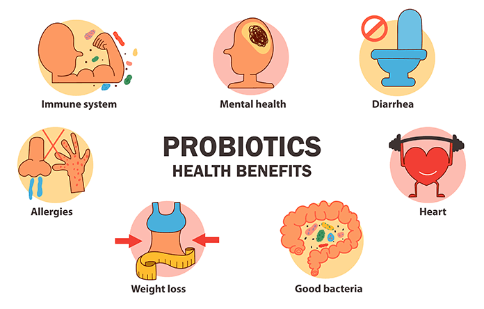 Dato nº 2. Los probióticos favorecen la absorción de vitaminas y minerales.