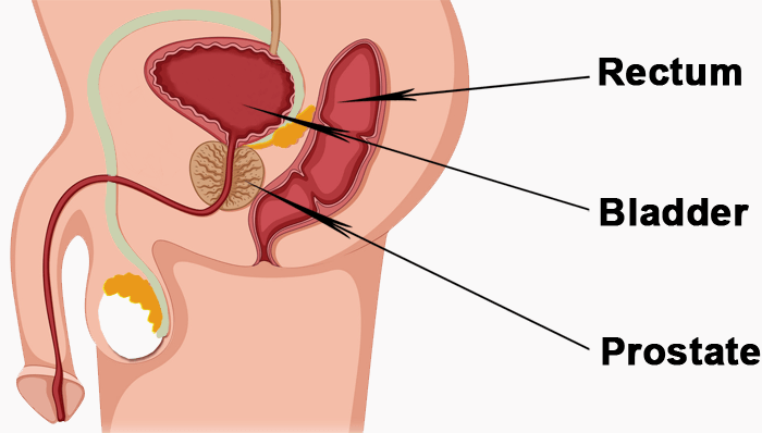 Punto G masculino: cómo encontrarlo y qué hacer con él