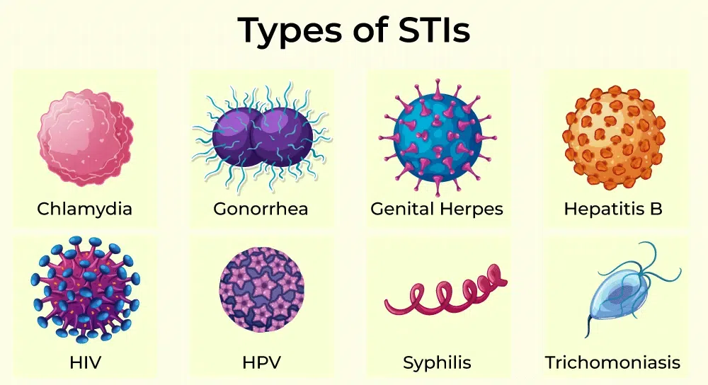 ✓ ¿Los síntomas de una enfermedad de transmisión sexual aparecen inmediatamente?