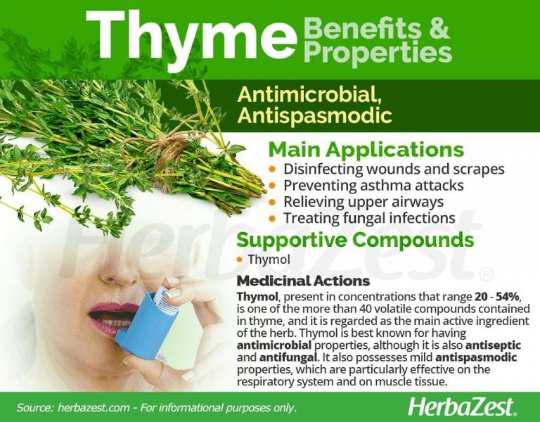 thyme-benefits-properties-981420-section-9997906-1603107