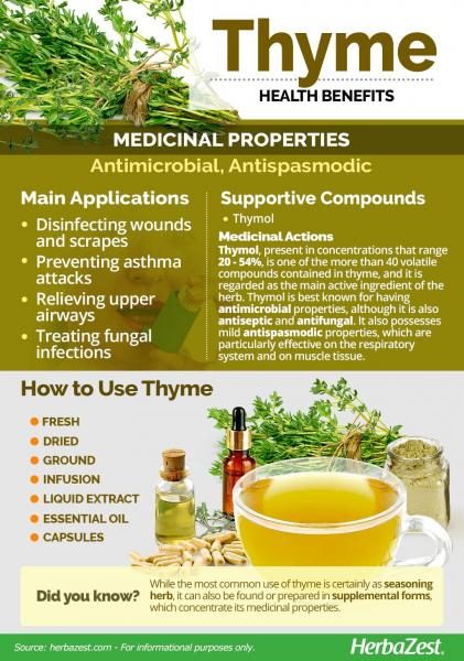 thyme-infographic-3579985-6936982