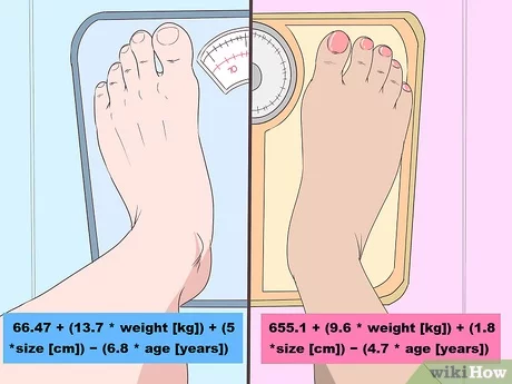 Aritmética mágica: cuántas calorías hay que consumir al día para adelgazar