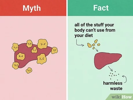 undefinedAunque algunas personas pueden experimentar una mejoría temporal de los síntomas o del bienestar general tras una limpieza hepática, estos efectos pueden atribuirse a menudo a factores distintos de la desintoxicación. Factores psicológicos, como el efecto placebo, o cambios en la dieta y el estilo de vida durante la limpieza, pueden contribuir a estos beneficios percibidos.