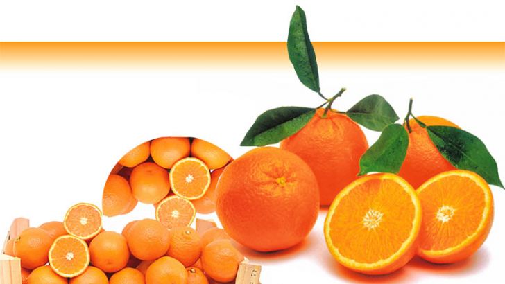 Milagro naranja: 5 curiosidades sobre las mandarinas