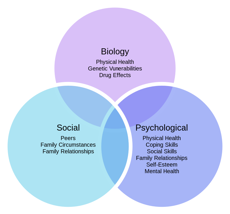 800px-biopsychosocial_model_of_health_1-svg_-2975805