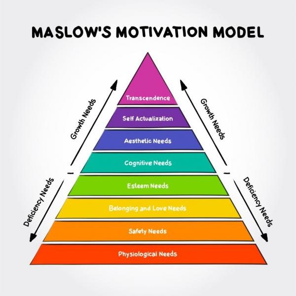 maslows-hierarchy-8-levels-1024x1024-1190912