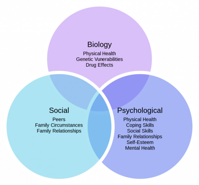 800px-biopsychosocial_model_of_health_1-svg_-2923046