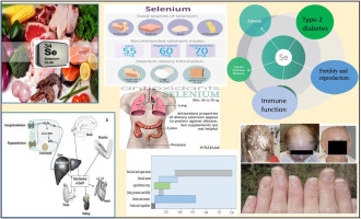 Quais alimentos contêm selênio