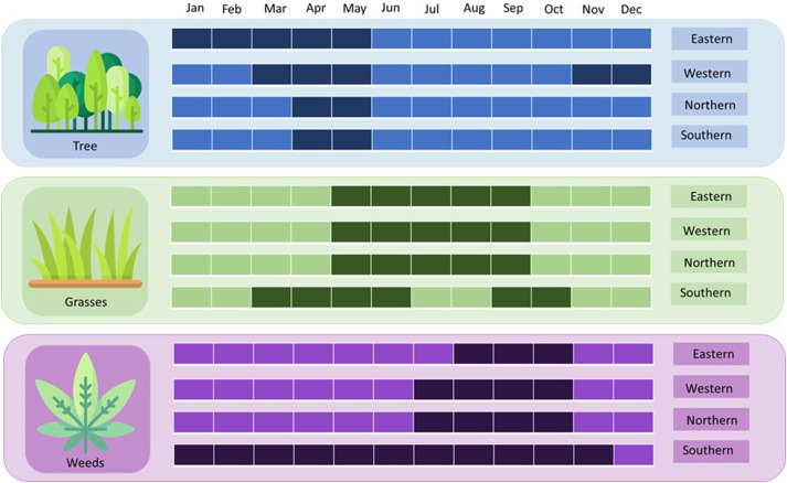 Como conviver com a polinose: calendário de floração e hábitos úteis para alergia ao pólen