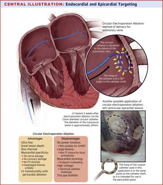 Conteúdo atual: o que é eletroporação e como prolongar a juventude sem cirurgia