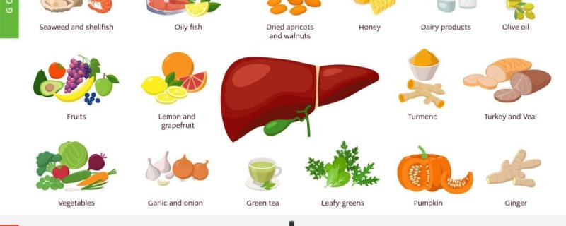 Quais alimentos são bons para o fígado?