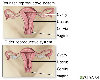 Quantos dias sua menstruação pode durar durante a menopausa?