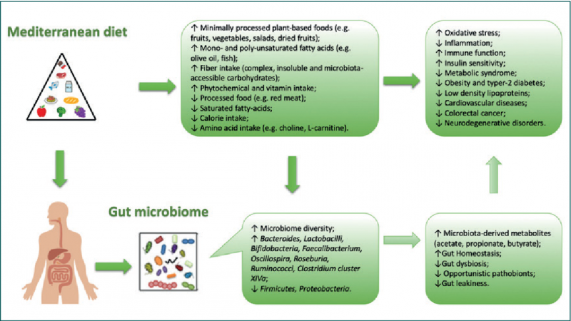Há muito tempo, uma dieta saudável é reconhecida como um fator essencial para manter o bem-estar geral. Nos últimos anos, os pesquisadores têm se interessado particularmente pelo papel da dieta na formação da comunidade diversificada de microrganismos que residem em nossos intestinos, conhecida como microflora intestinal. Uma dieta que tem recebido muita atenção por seu possível impacto na microbiota intestinal é a dieta mediterrânea.