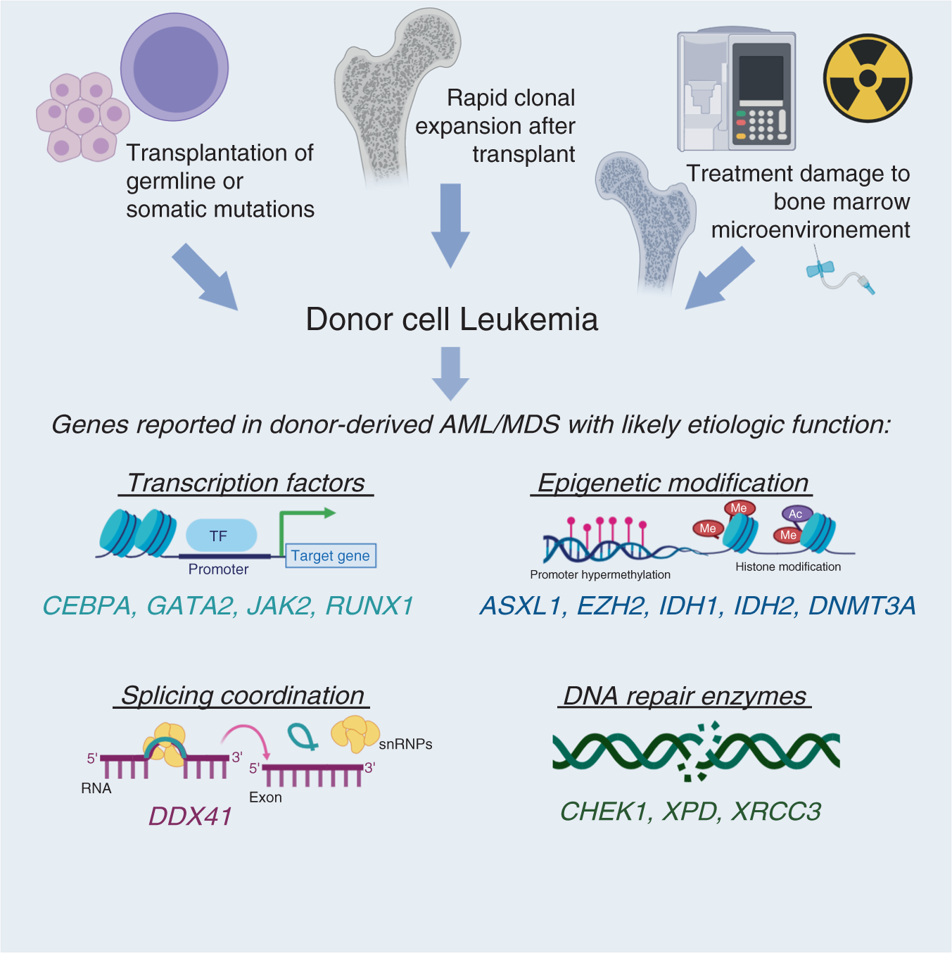 Gêmeos genéticos: como os doadores salvam a vida de pessoas com leucemia (3 histórias - 3 encontros incríveis)
