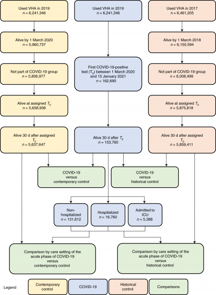 A pesquisa conduzida por uma equipe de especialistas revelou que o coronavírus pode levar a uma série de problemas de saúde, incluindo problemas cardiovasculares, distúrbios neurológicos e até mesmo danos aos rins. Aparentemente, o vírus ataca não apenas os pulmões, mas também os vasos sanguíneos, levando a uma inflamação que pode causar danos a longo prazo.