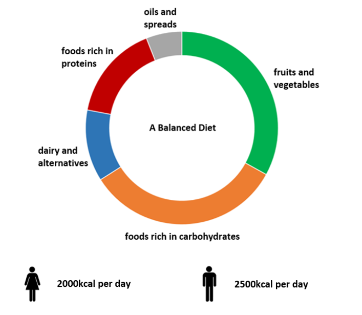 São necessários mais estudos para entender completamente os mecanismos por trás desse fenômeno e para desenvolver recomendações dietéticas concretas. Enquanto isso, está ficando cada vez mais claro que uma dieta equilibrada e variada, rica em alimentos integrais e sem extremos, é crucial para nossa saúde e longevidade.