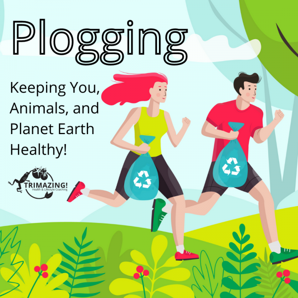 O que o plogging faz por sua silhueta