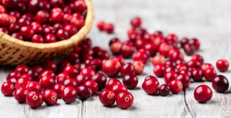 Cranberries: benefícios e malefícios