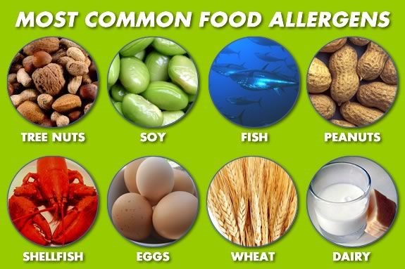 undefinedHá muito se sabe que nossa dieta é um fator fundamental para manter a boa saúde e prevenir várias doenças. No entanto, o foco tem se concentrado principalmente em nutrientes individuais, como vitaminas e minerais, e não na composição geral de nossas refeições. 