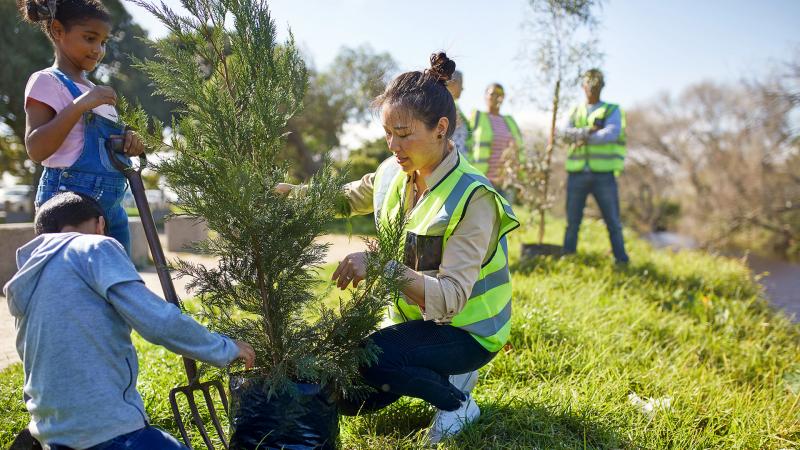 Experiência de trabalho em situações desafiadoras