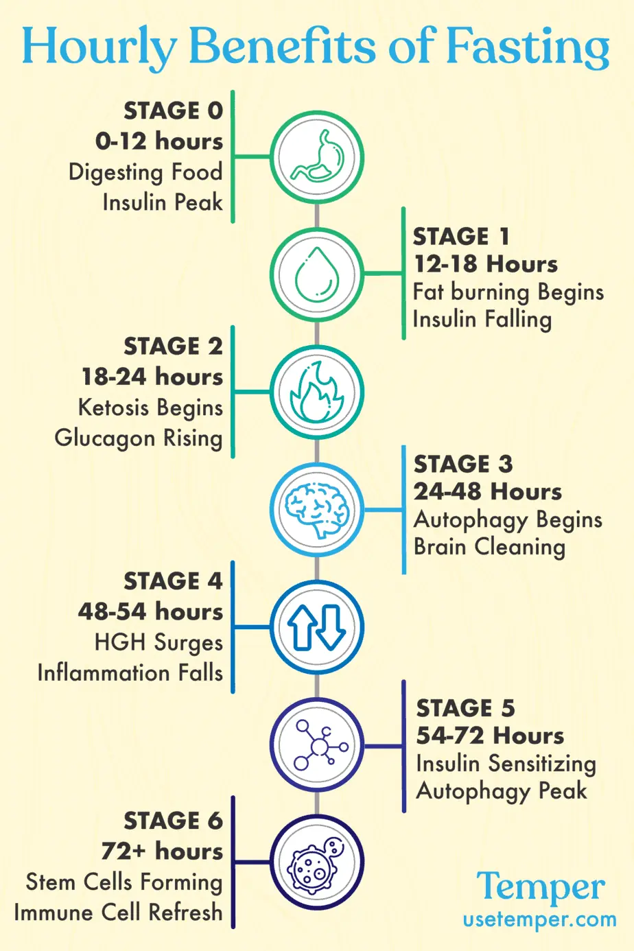 Dias 2-3: Cetose