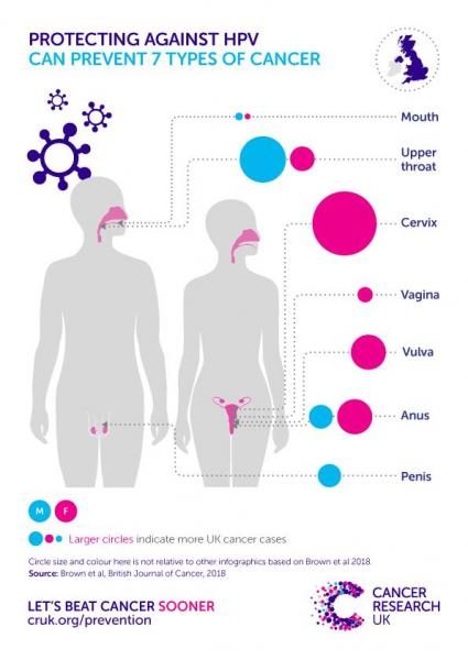 infographic_hpv-related-cancers_uk_screen-8598581-4169246