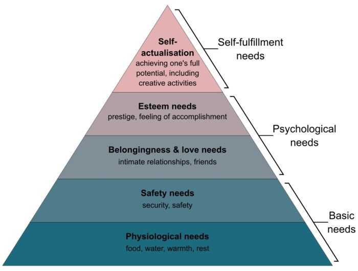 5 Necessidades cognitivas