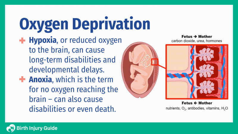 1. Danos cerebrais: