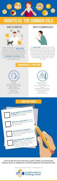 rhinitis-vs-the-common-cold-infographic-9551086-5190245