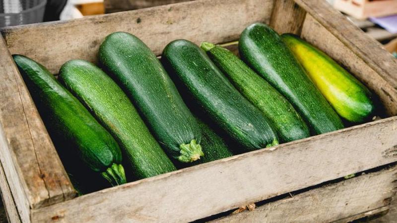 Para a juventude e a cintura: benefícios e malefícios da abobrinha para a saúde