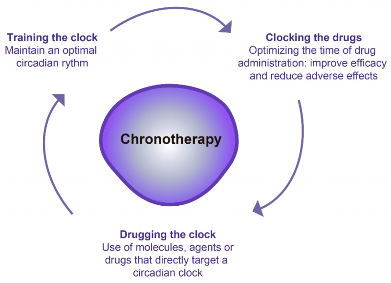 Cronoterapia: qual é o melhor horário para tomar o medicamento