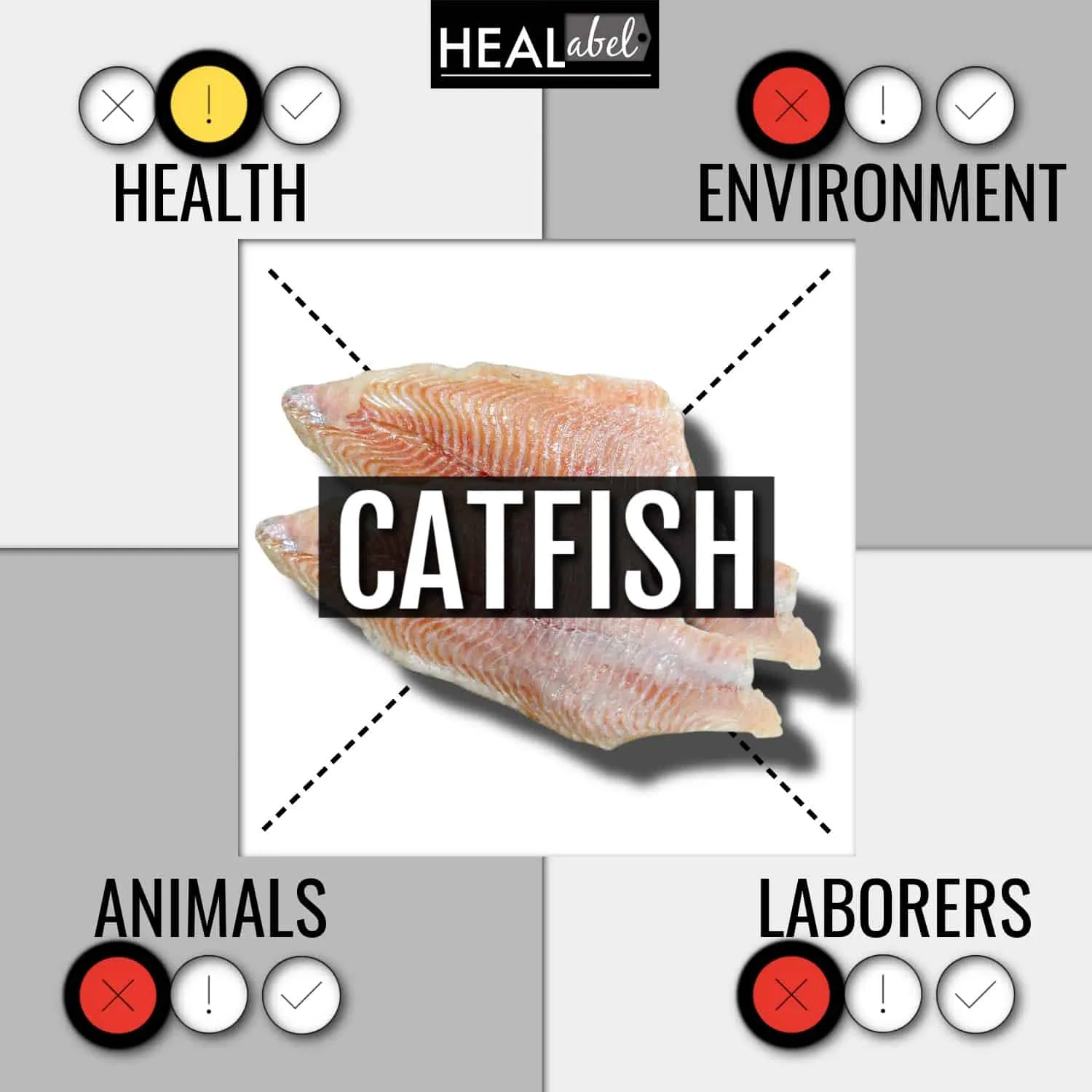 Por que você deve incluir o peixe-gato em sua dieta (benefícios e malefícios)