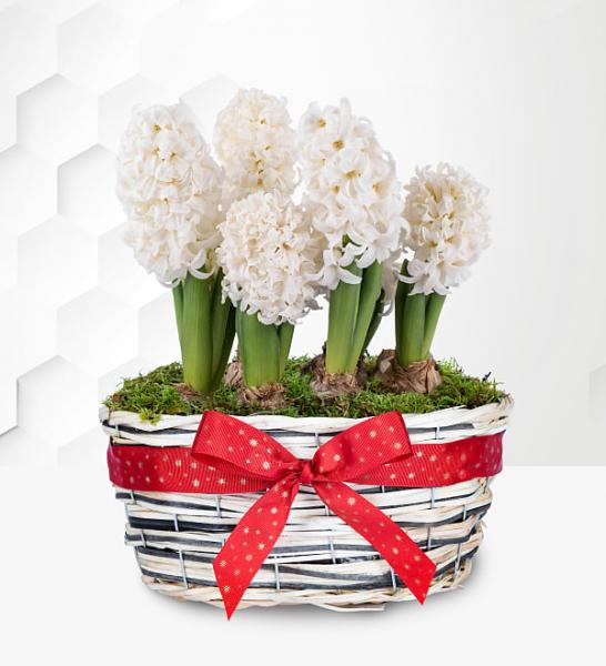 Sou tão bom quanto o luxo: 5 produtos que são bons para dar as boas-vindas à primavera