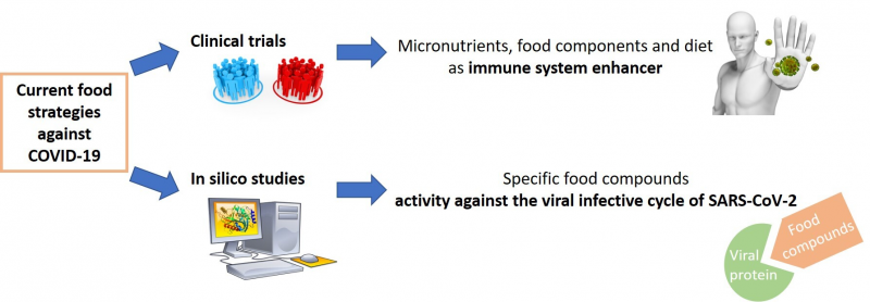 O iogurte é uma excelente fonte de probióticos, que são bactérias benéficas que contribuem para um intestino saudável. Estudos demonstraram que um microbioma intestinal forte pode melhorar a função imunológica e reduzir o risco de infecções respiratórias. Escolha iogurte natural e sem açúcar e incorpore-o em sua dieta para melhorar a capacidade do seu corpo de combater o coronavírus.