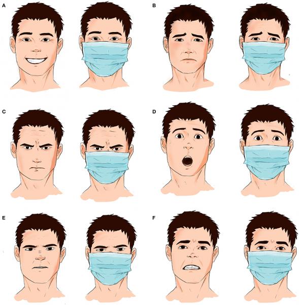 Instruções de uso: como aplicar 6 tipos diferentes de máscaras faciais para que funcionem