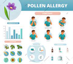 Como tratar a alergia ao pólen