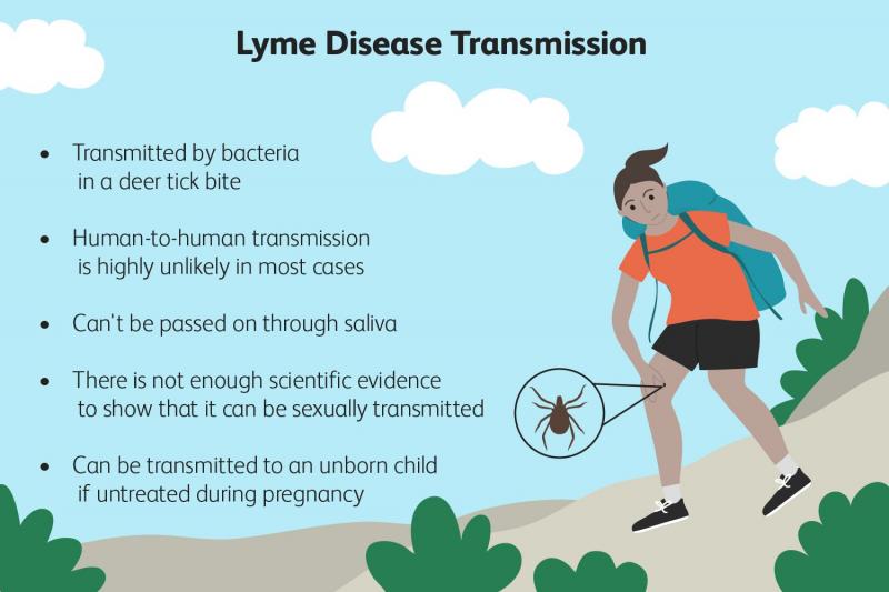 5 Infecções do trato urinário