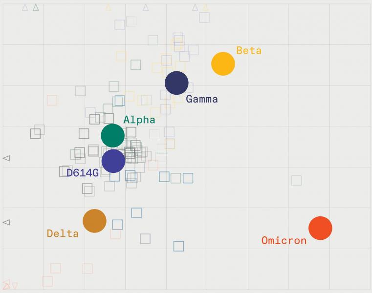 Omicron: qual é o perigo da nova cepa de covidae e ela mudará o curso da pandemia?