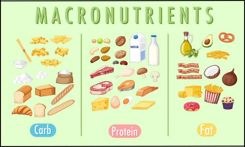 Como compor uma dieta de proteínas, gorduras e carboidratos: as combinações e os produtos certos