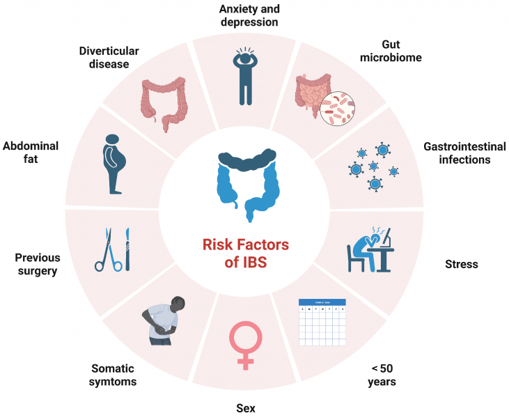 Como melhorar a função intestinal